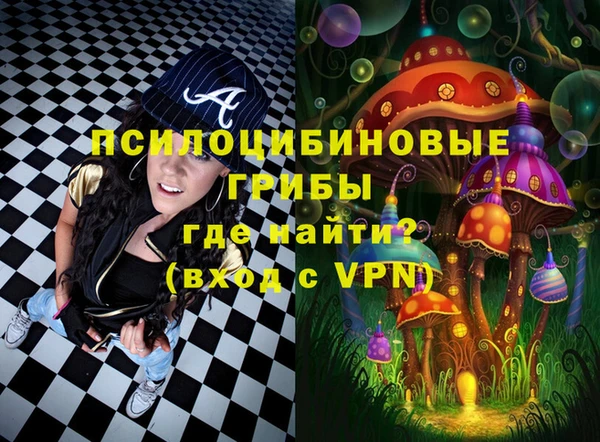 ALPHA-PVP Горняк