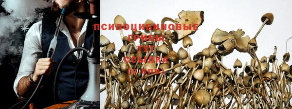 MDMA Горнозаводск