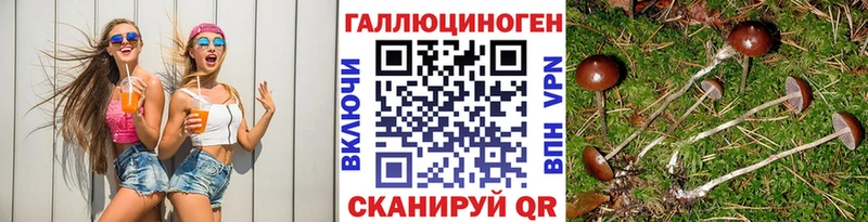 Галлюциногенные грибы мицелий  Нальчик 